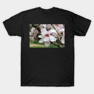 Spring Dancers T-Shirt